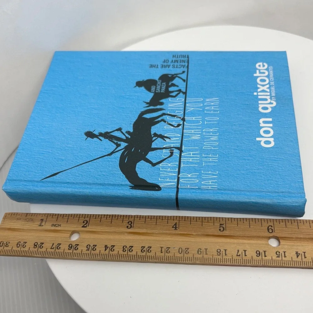 Publikum Art don quixote